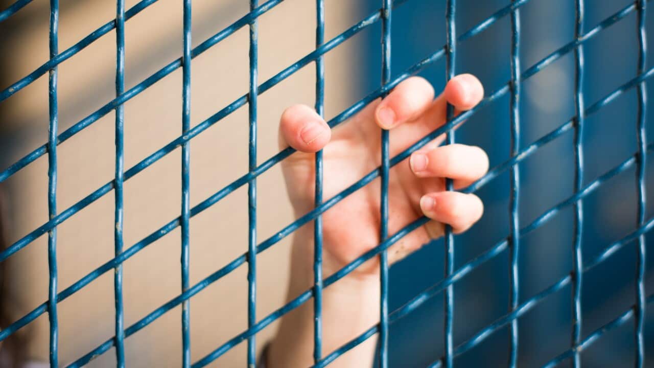 A child's hand hooked on a blue metal fence