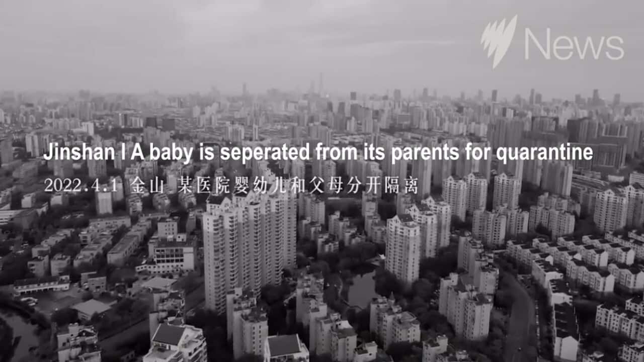 Chinese censorship strikes down critical Shanghai lockdown video