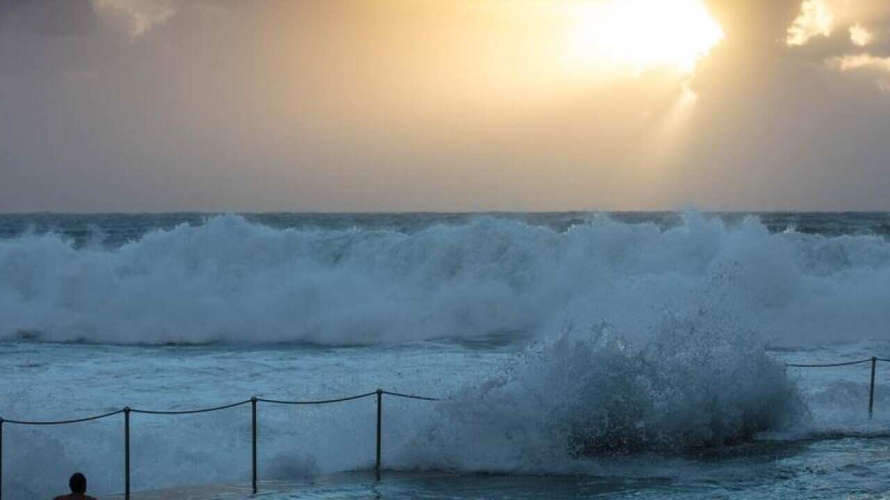 NSW beaches