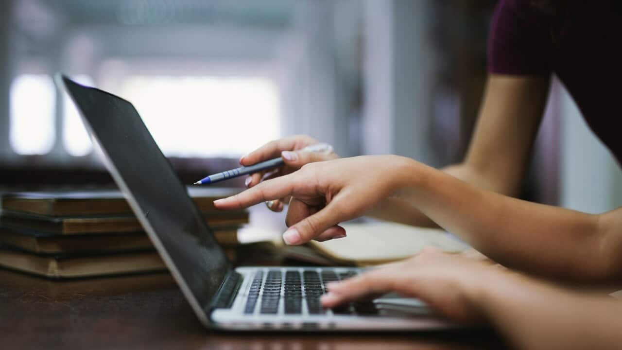 Young women using computer