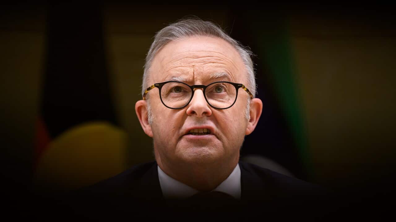 A close-up shot of Anthony Albanese shows him looking forward with a serious expression on his face.