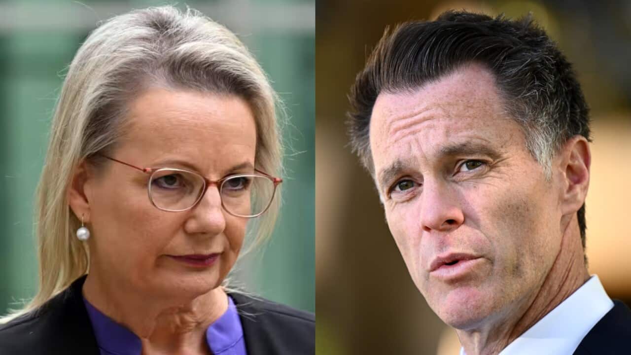 A composite image of Sussan Ley and Chris Minns