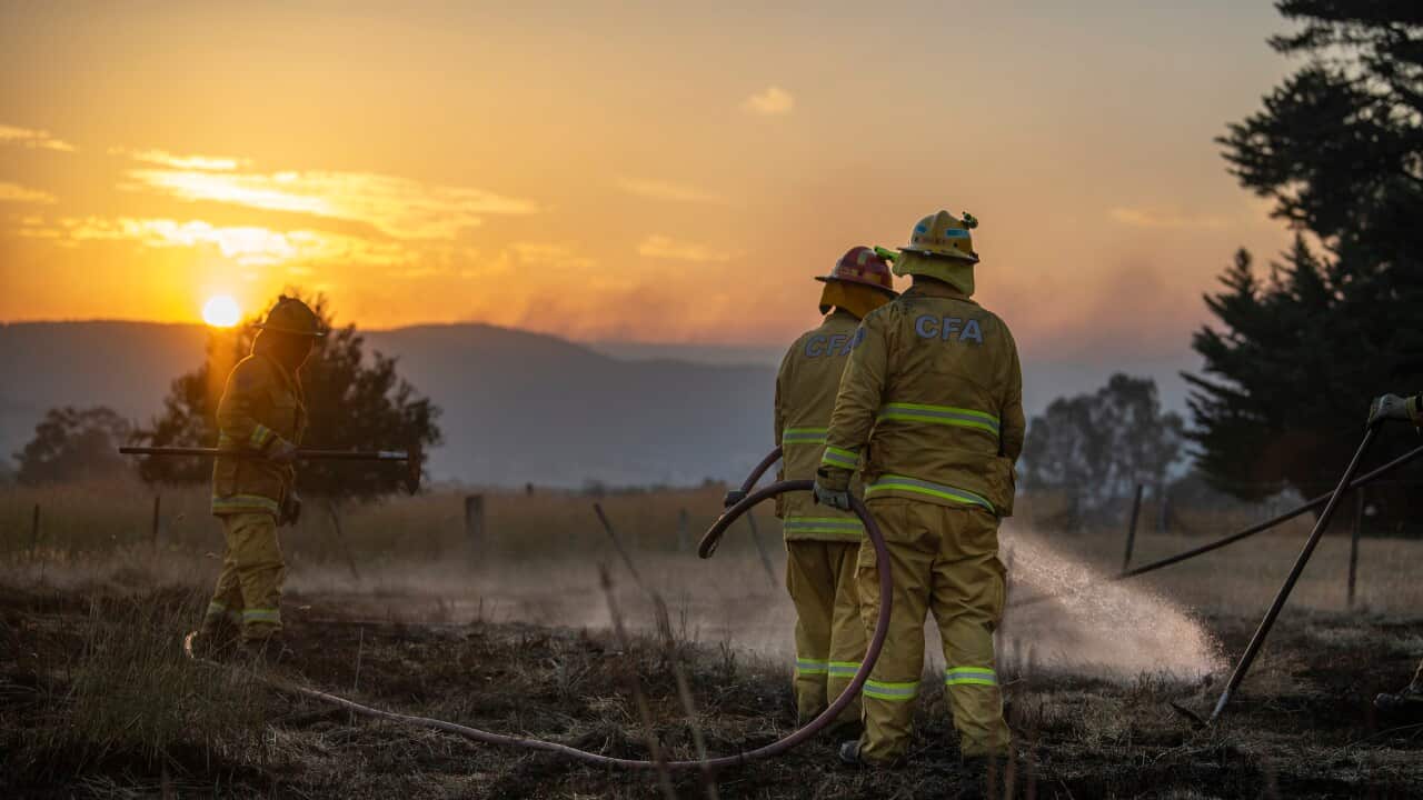 Victorian Bushfires in Australia - 10 Jan 2026