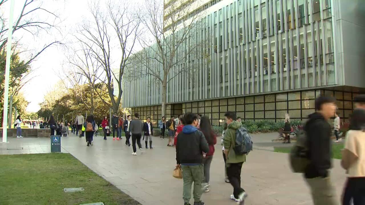 University students pre-Coronavirus