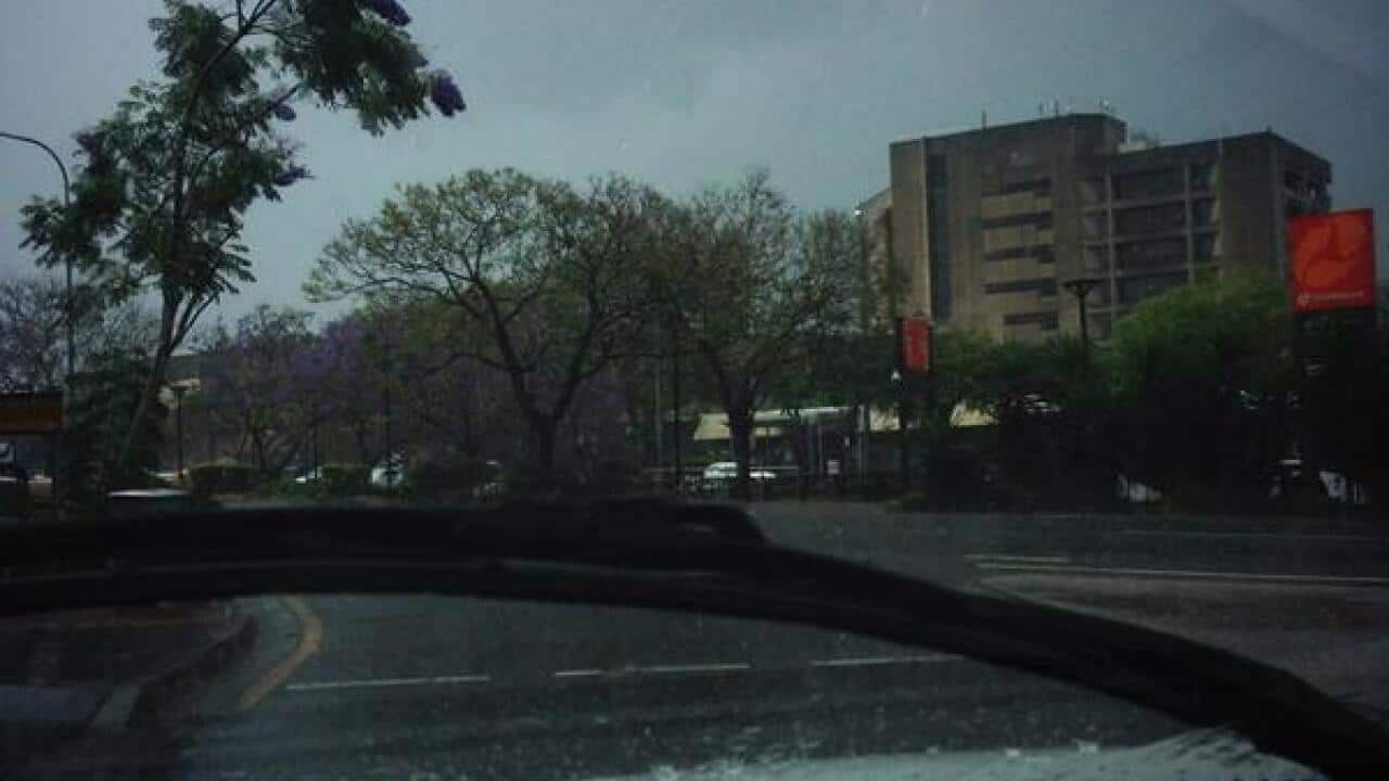 wild_weather_twitter_thecaseyfung.jpg