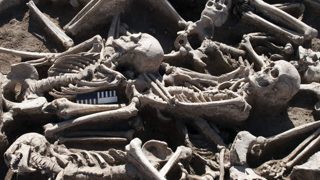 Skeletons from a mass burial of ancient warriors, one of which was among the dozen infected with hepatitis B studied by Eske Willerslev and his colleagues.