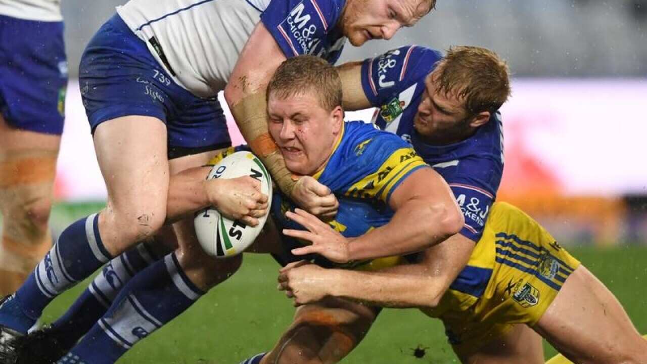 Daniel Alvaro of the Eels