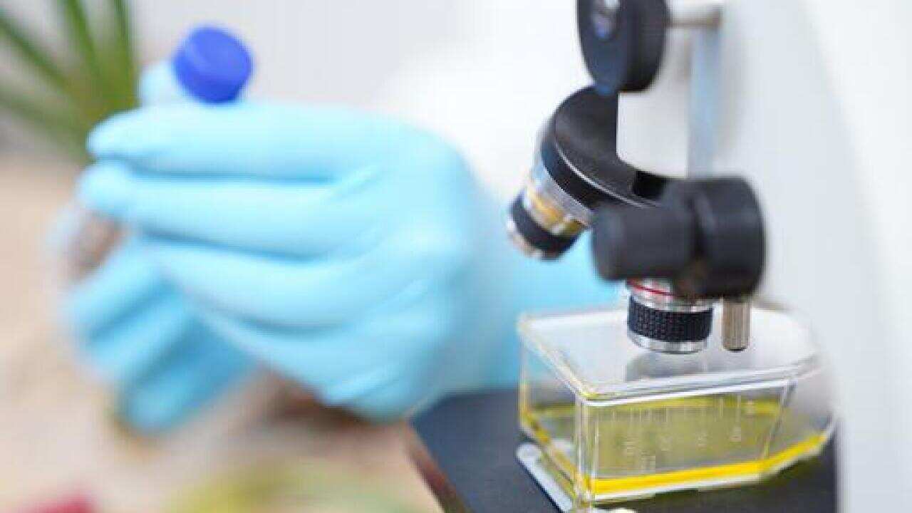 Image for read more article 'READ MORE'