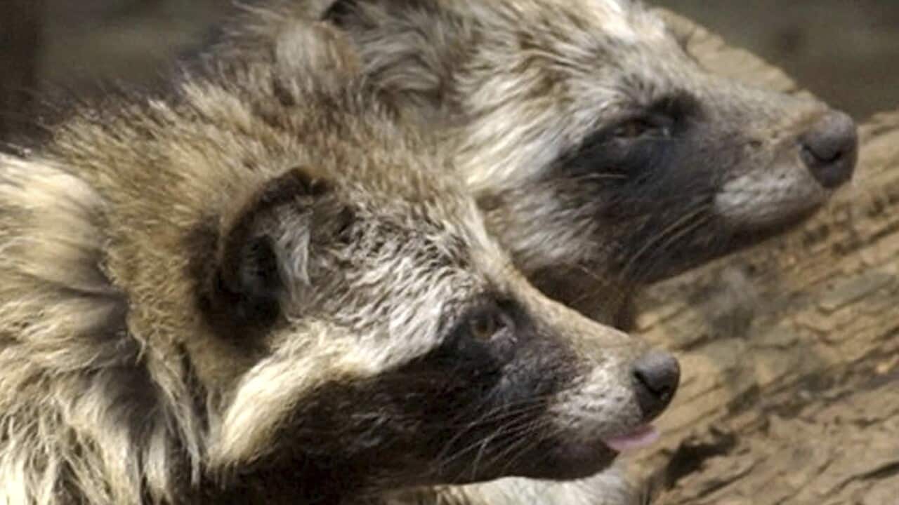 Image for read more article ''