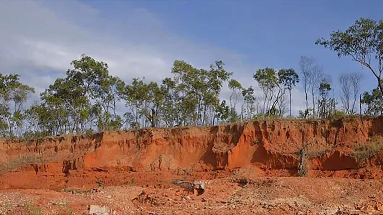 Minjiwarra