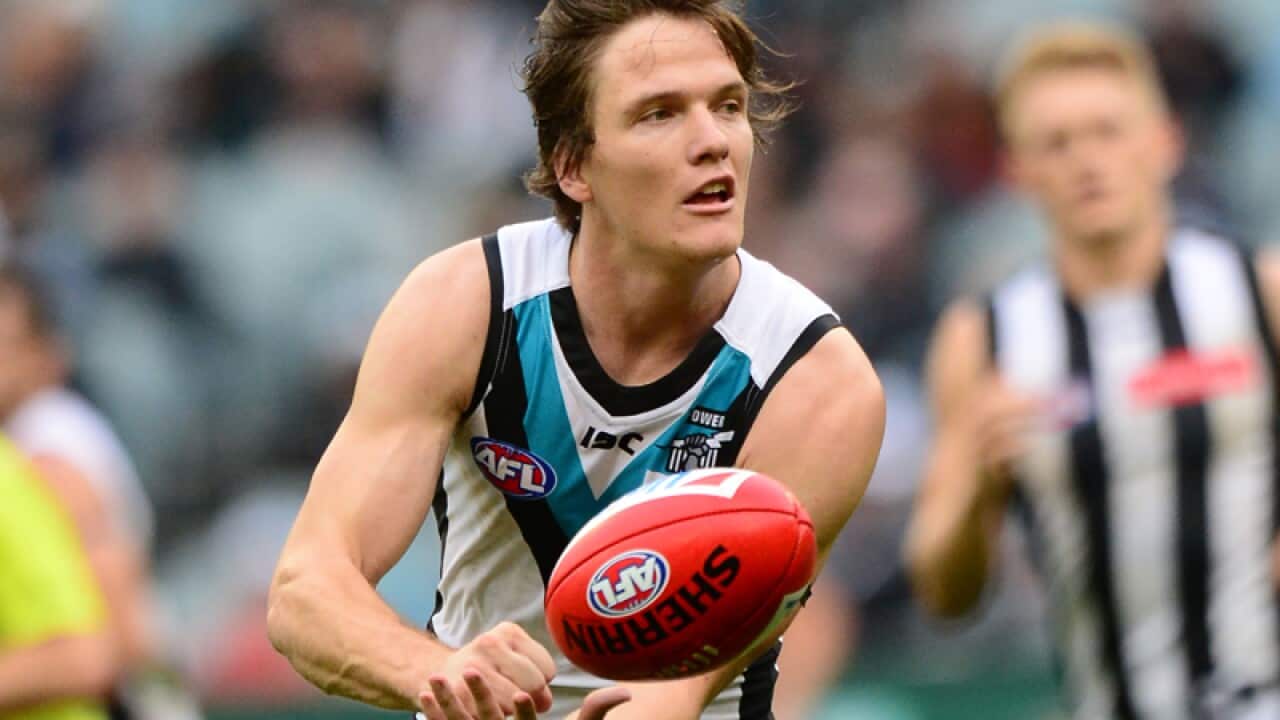 Jared Polec