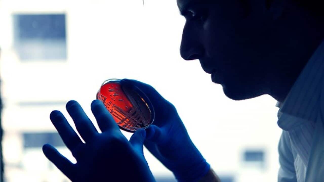 Hosam Zowawi inspects the Super Bug on a petri dish inside the UQ Paterson Lab