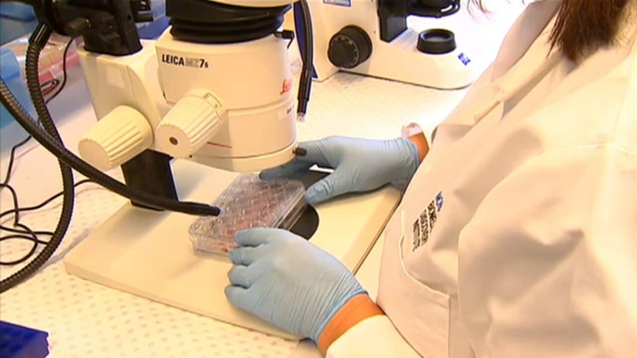 Early cancer diagnosis key to better outcomes