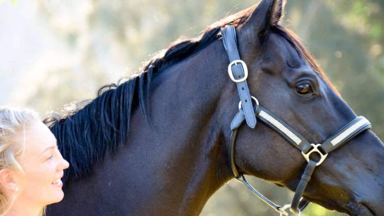 dutch horsetrainer Marieke Schnebeli