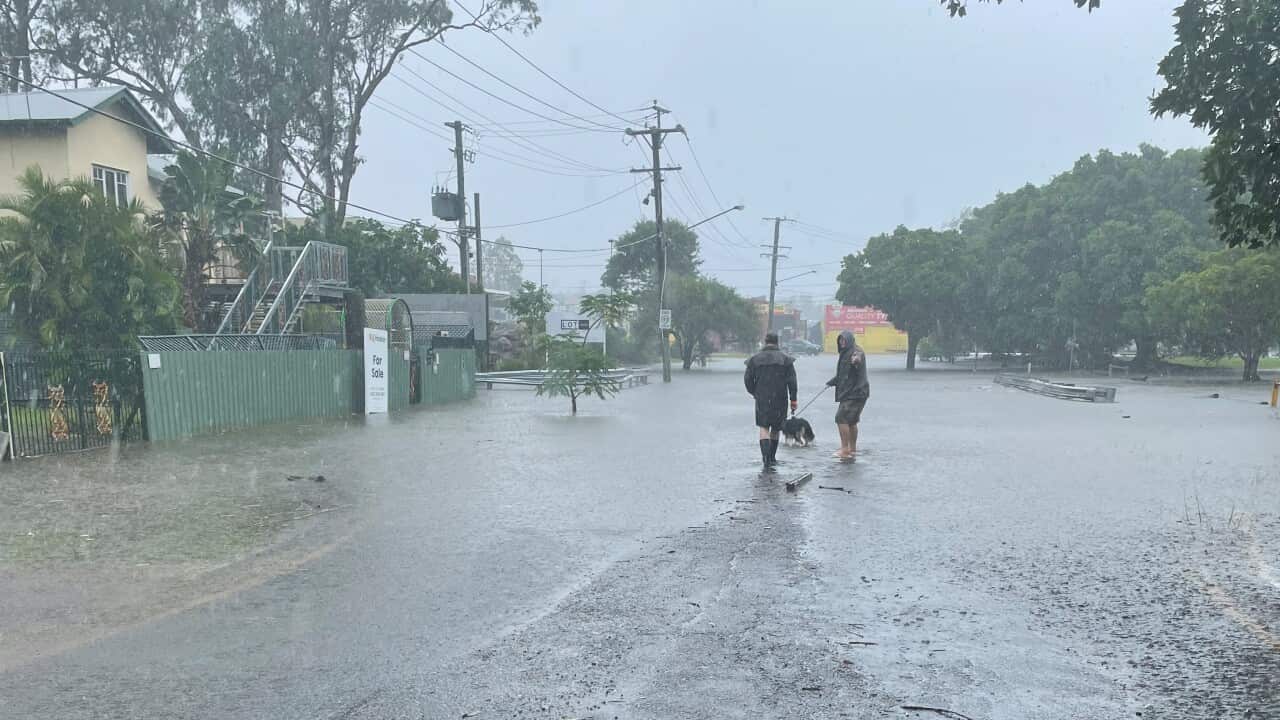 Image for read more article 'READ MORE'