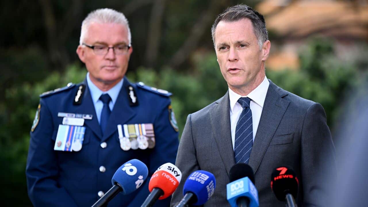 Image for read more article ''