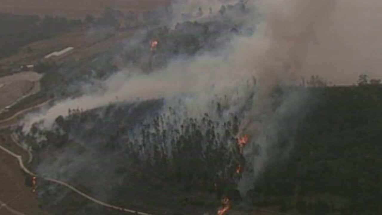 A fire approaches homes in the Western Sydney suburbs of Greystanes.