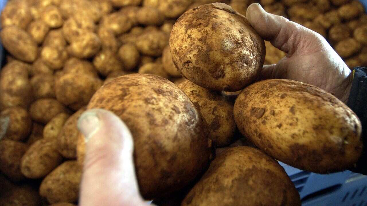 AUSTRALIAN POTATOES
