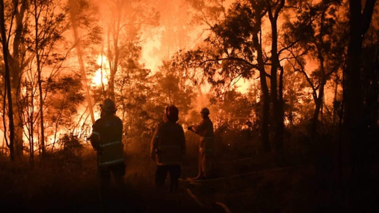 Bush fire in Bundaberg