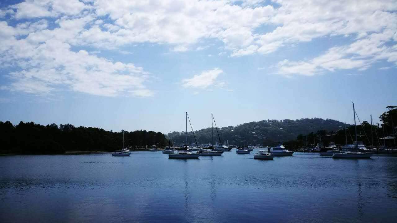 Sydney harbour view