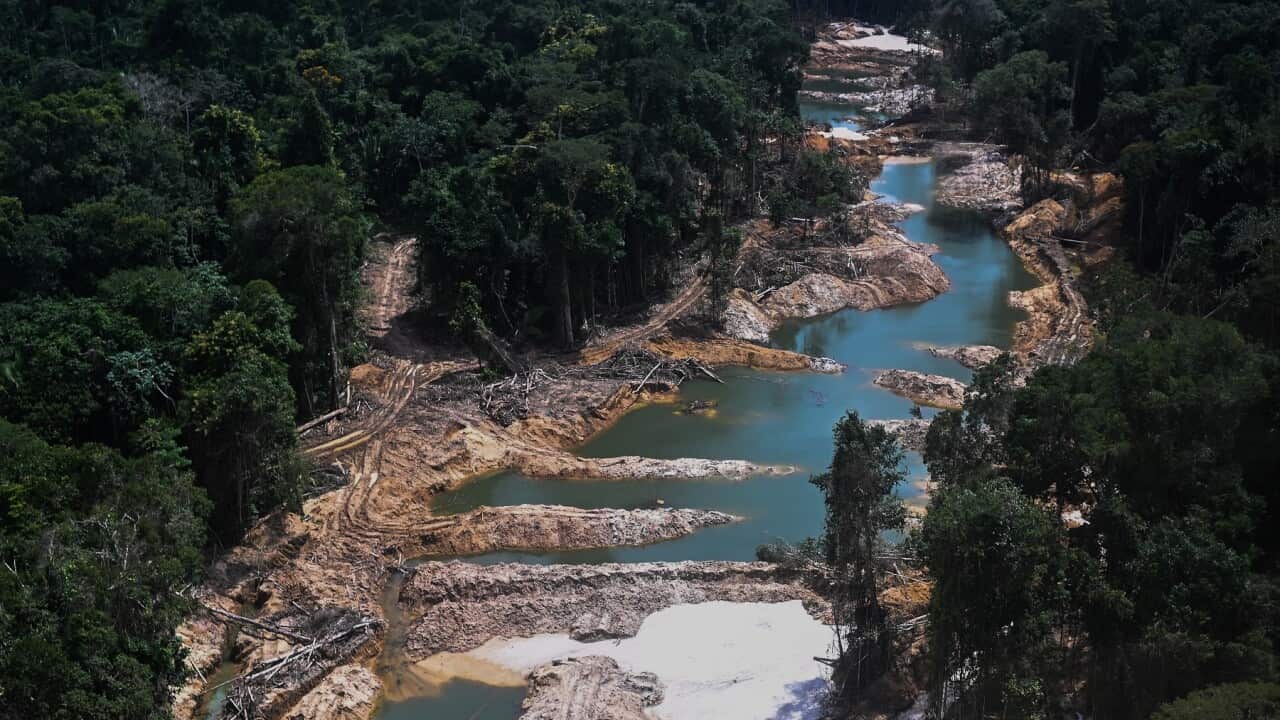 Aerial view of the destruction caused by illegal mining in the Amazonian Forest