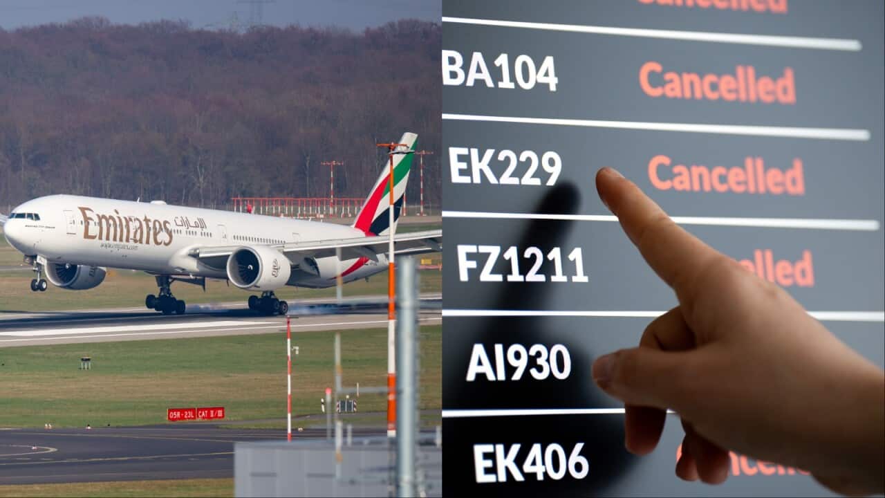 A composite of a plane and a screen displaying cancelled flights