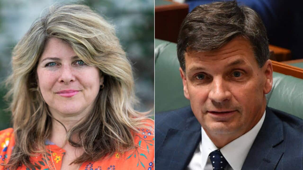 US author Naomi Wolf has accused Angus Taylor of making an 'anti-semitic dog whistle'. 