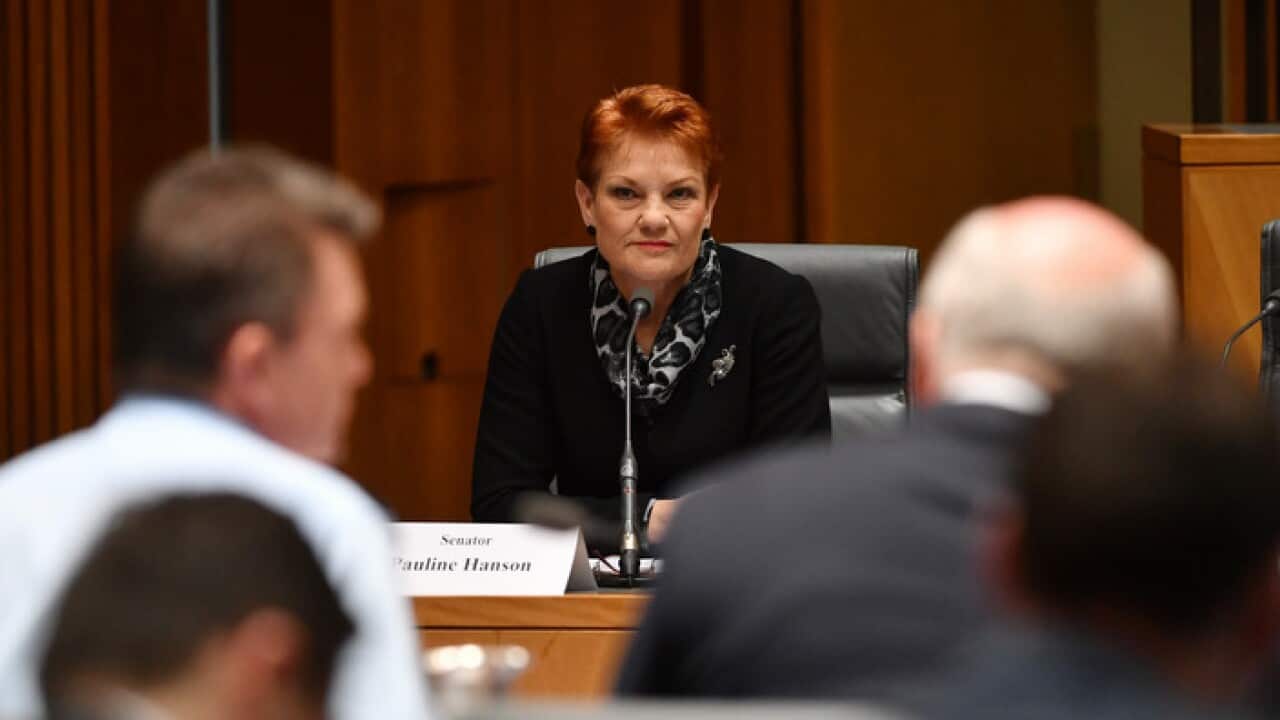 One Nation leader Senator Pauline Hanson listens to Commissioner of the Australian Federal Police Andrew Colvin (left) at a Senate Estimates hearing at Parliament House in Canberra, Thursday, May 25, 2017. (AAP Image/Mick Tsikas) NO ARCHIVING