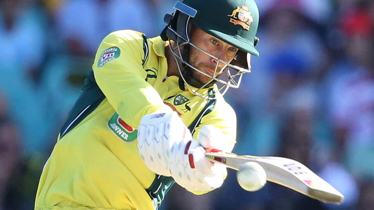 Australia's Matthew Wade