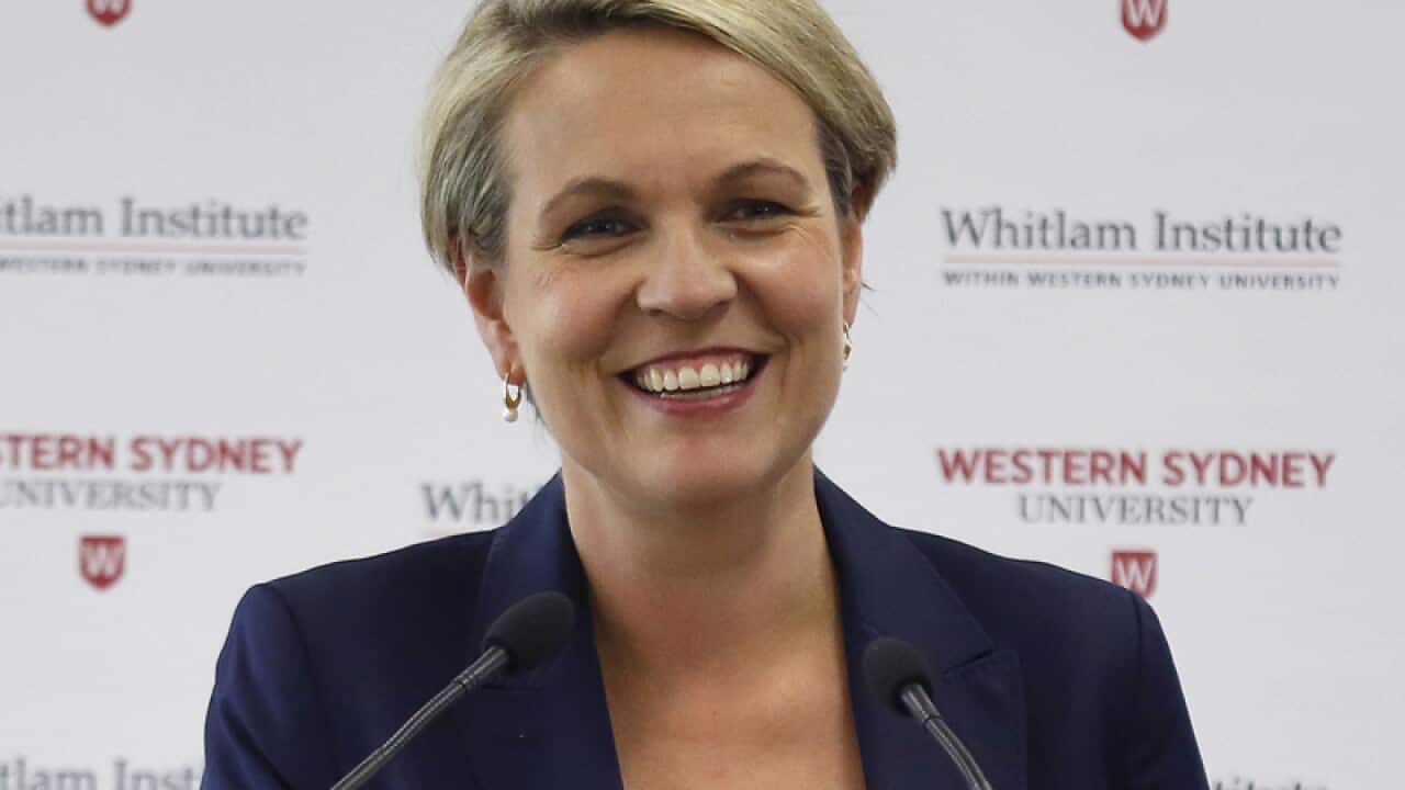 Deputy Opposition leader Tanya Plibersek