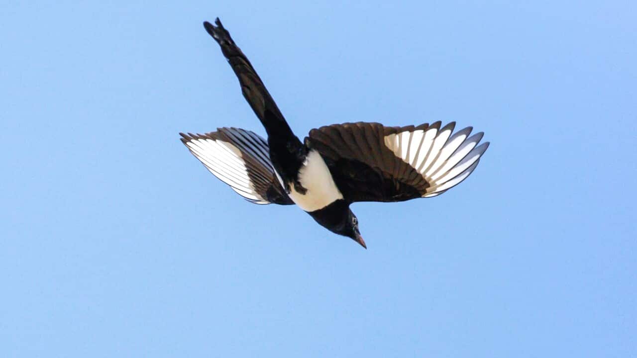 Image for read more article '更多內容'