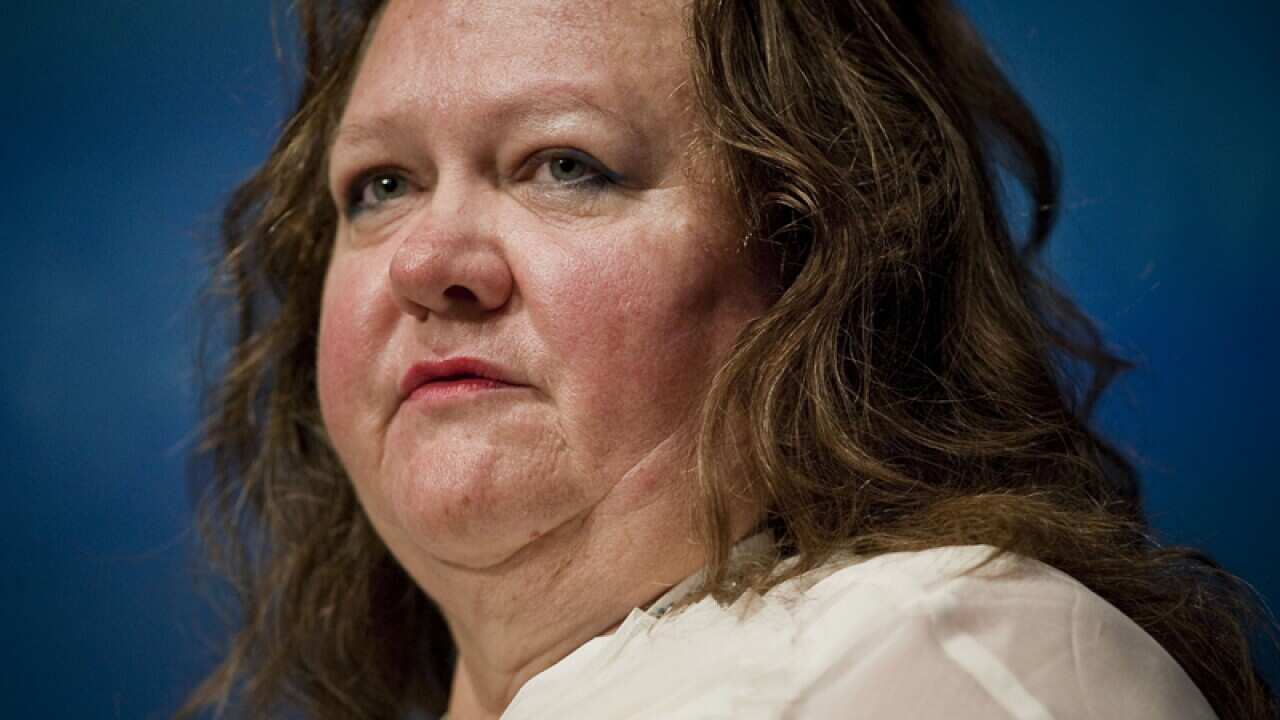 The mining magnate Gina Rinehart