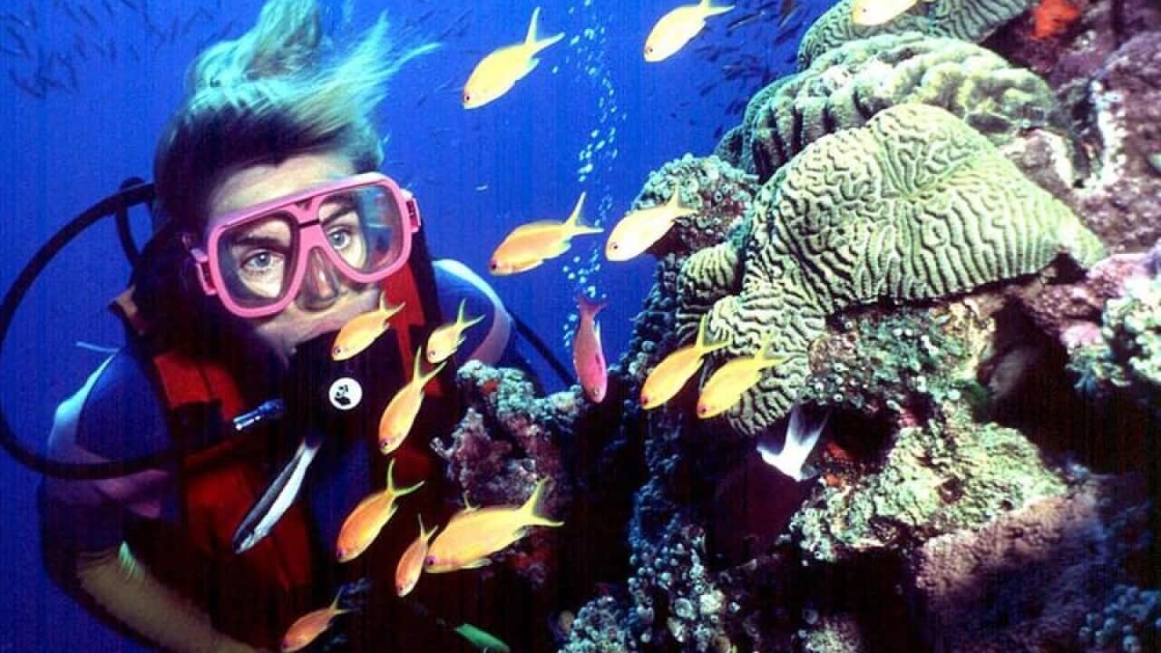 Diver swims on Australia's Great Barrier Reef.