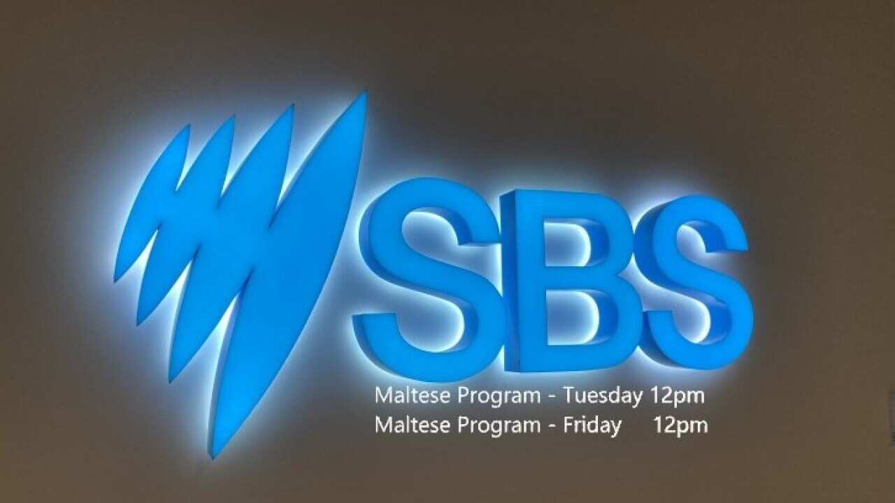 Malt Prog with Day & time cropped.jpg