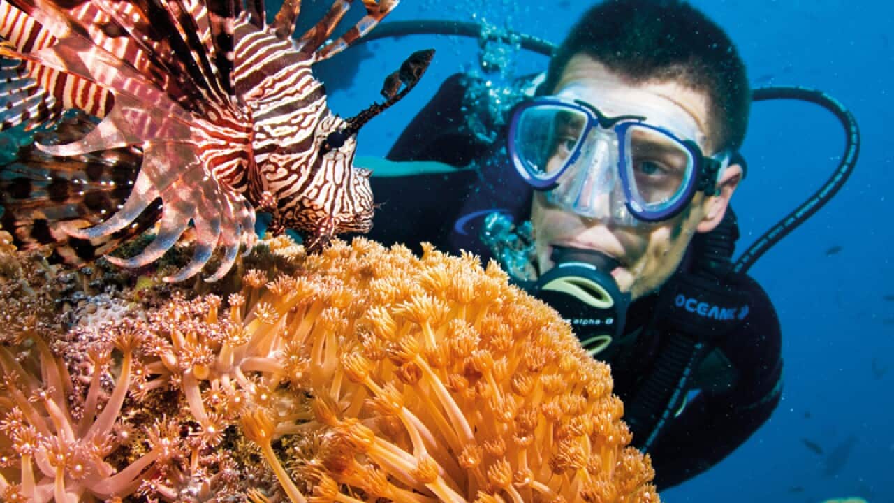 Australia on notice to protect reef