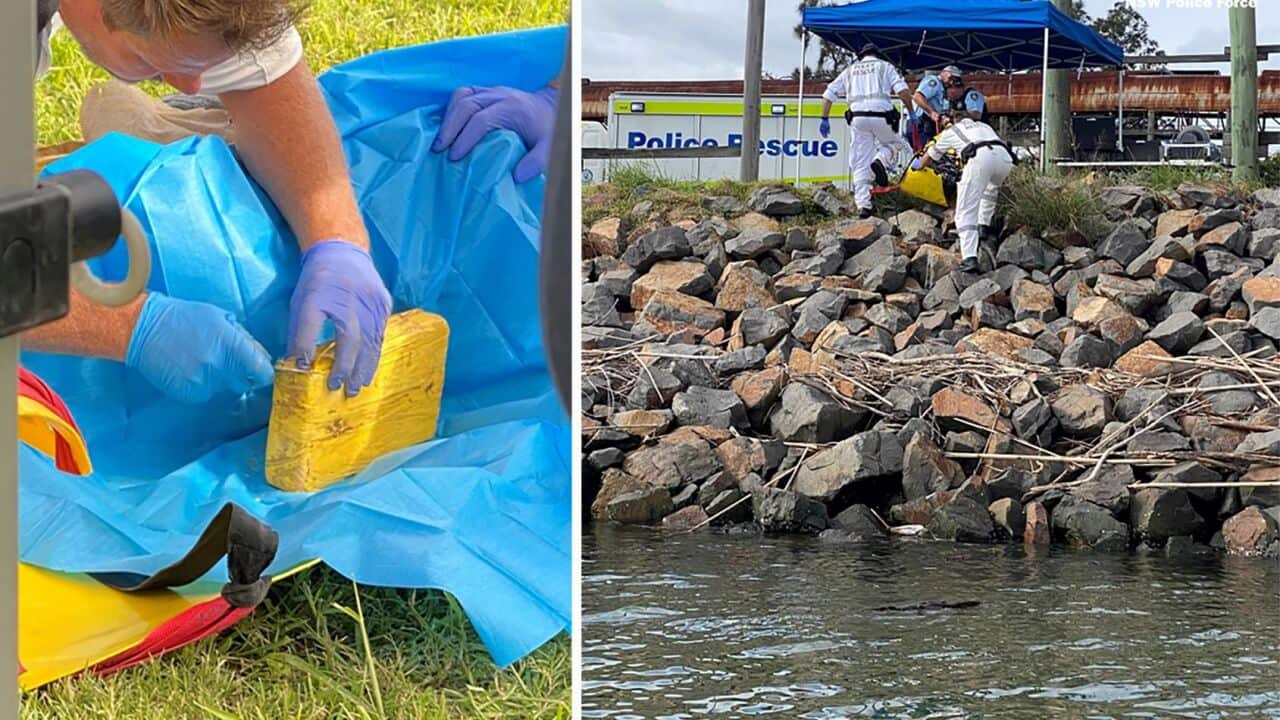 Image for read more article 'READ MORE'