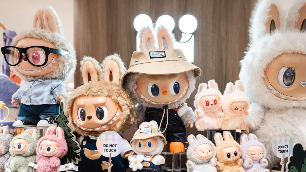 Labubu dolls in various outfits are neatly displayed inside