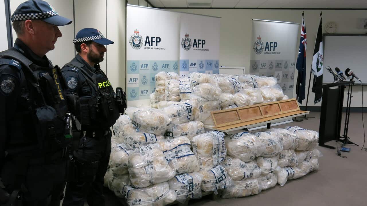 AFP Drug Haul