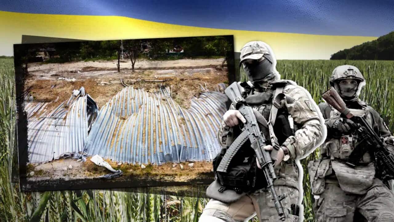 Ukraine war