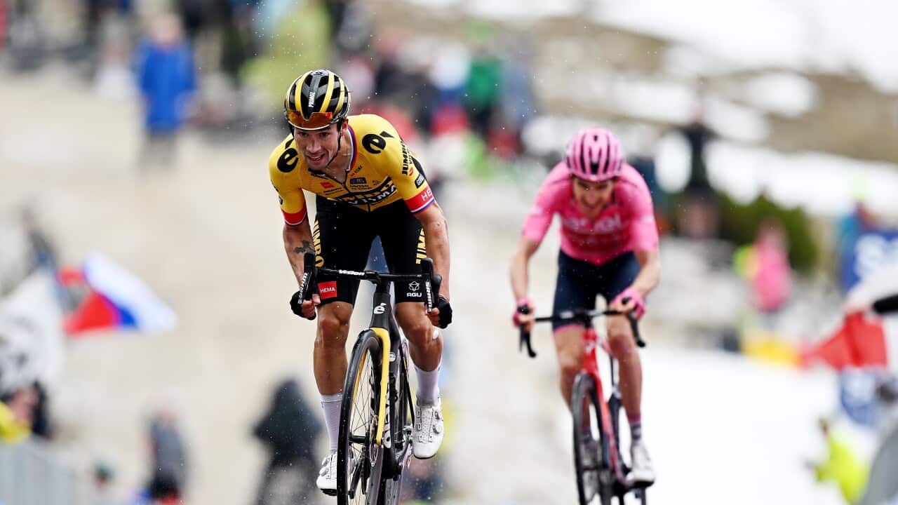 106th Giro d'Italia 2023 - Stage 19