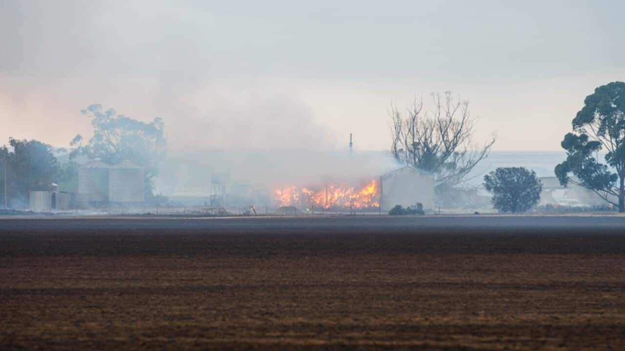 A hay shed burns on a property near Freeling in the mid-north of SA