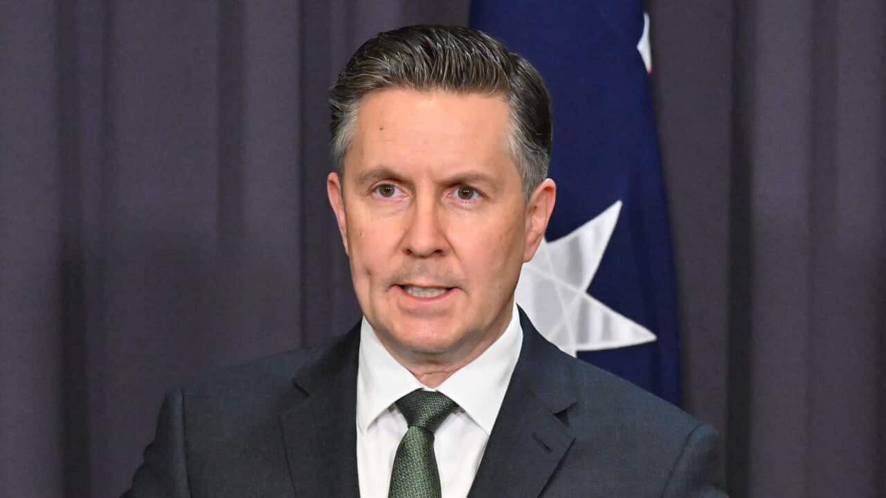 Mark Butler wearing a suit and tie and standing behind a lectern. There is an Australian flag in the background.