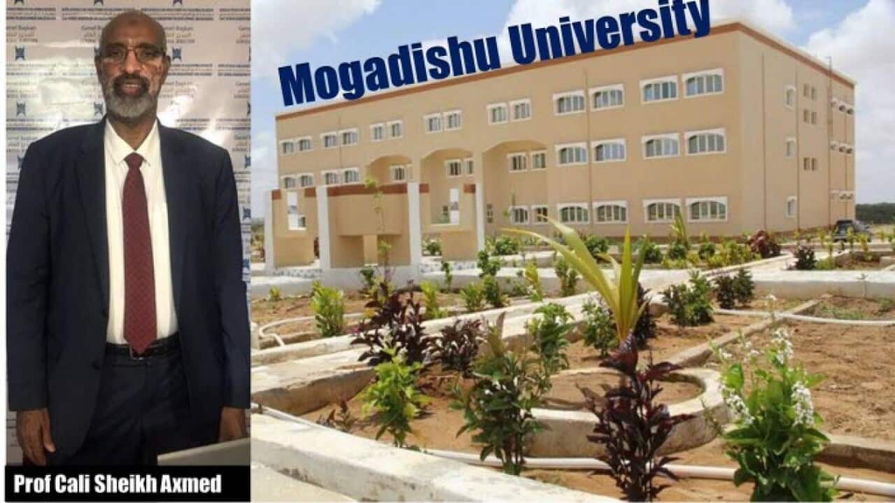 Mogadishu University