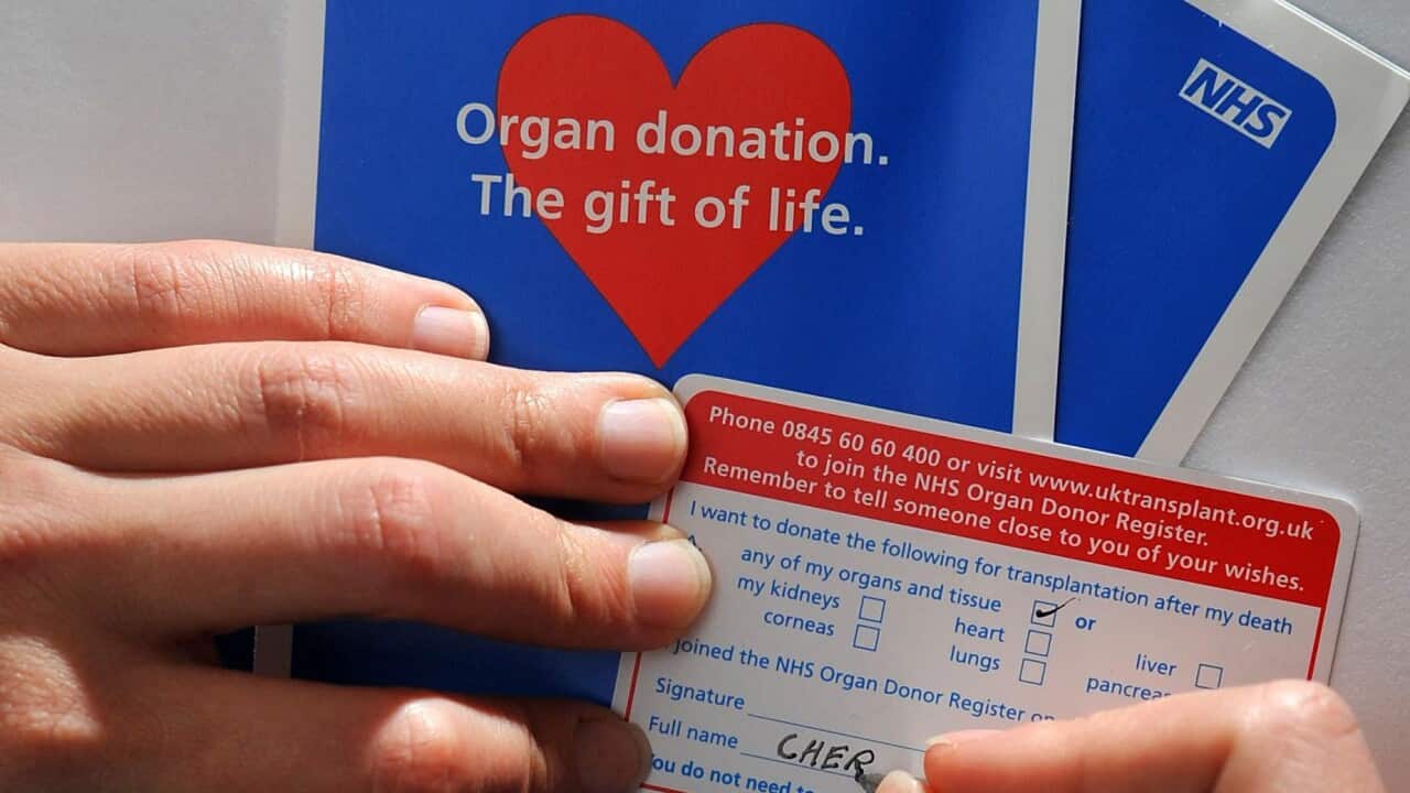 Organ Donation