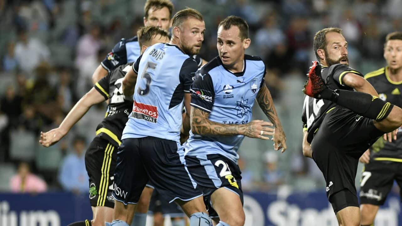 Buijs and Wilkshire