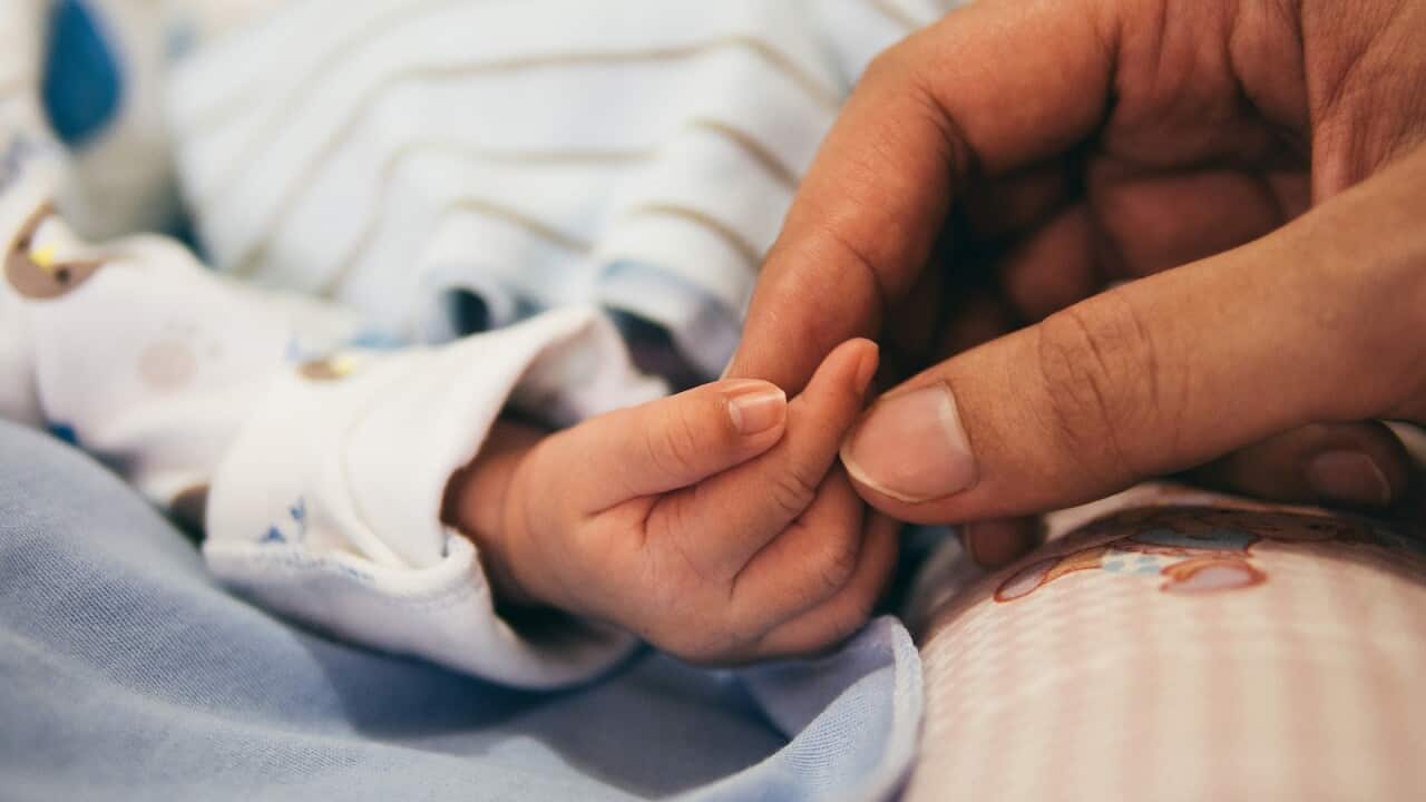 Newborn Baby