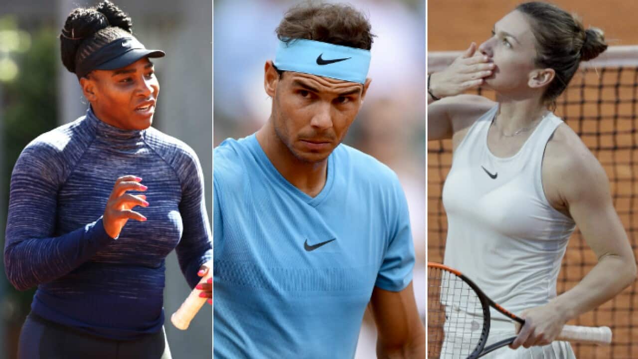 Williams Nadal Halep