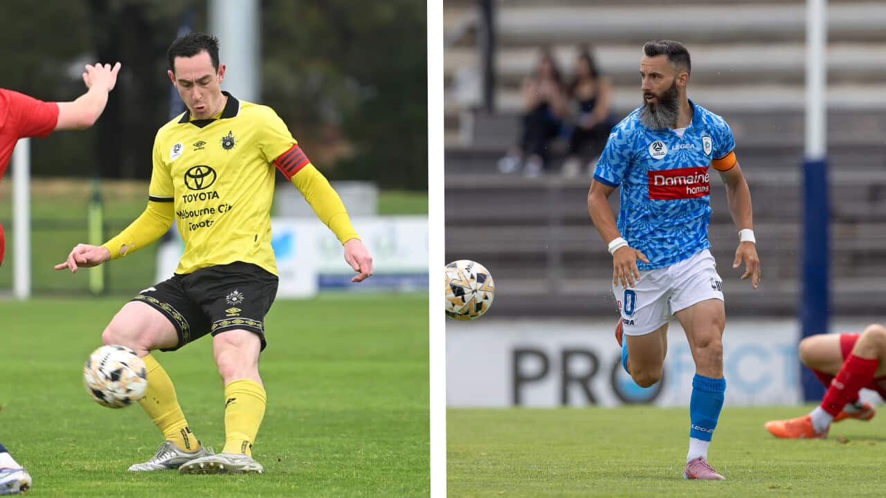 Untitled design (6).png