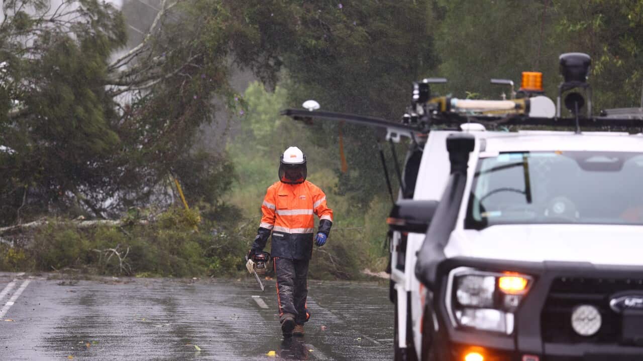 TROPICAL CYCLONE ALFRED