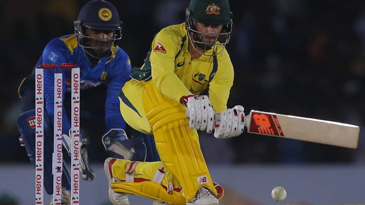 Australia's Matthew Wade